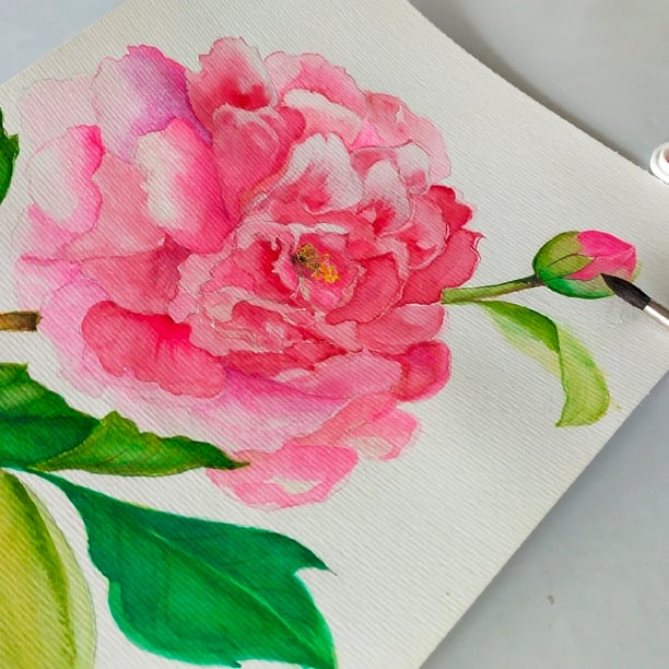 Aquarelle ou Peinture sur Porcelaine ?