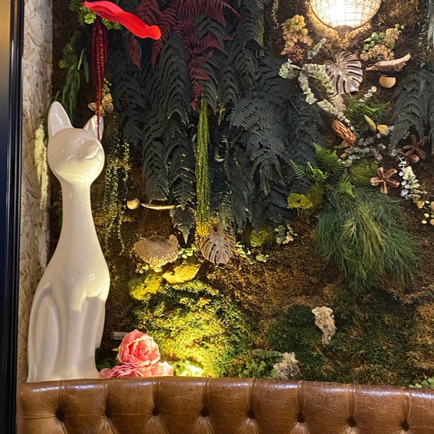 Café ☕️ /rencontre du Papotin