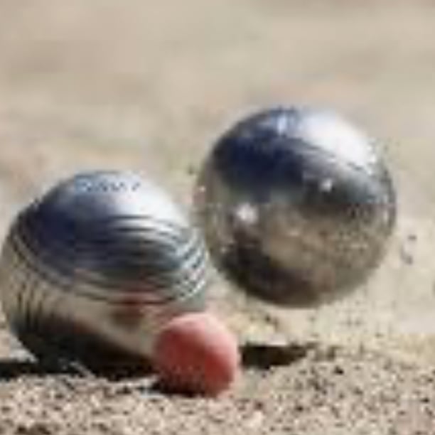 PETANQUE CONVIVIALE AUX TUILERIES