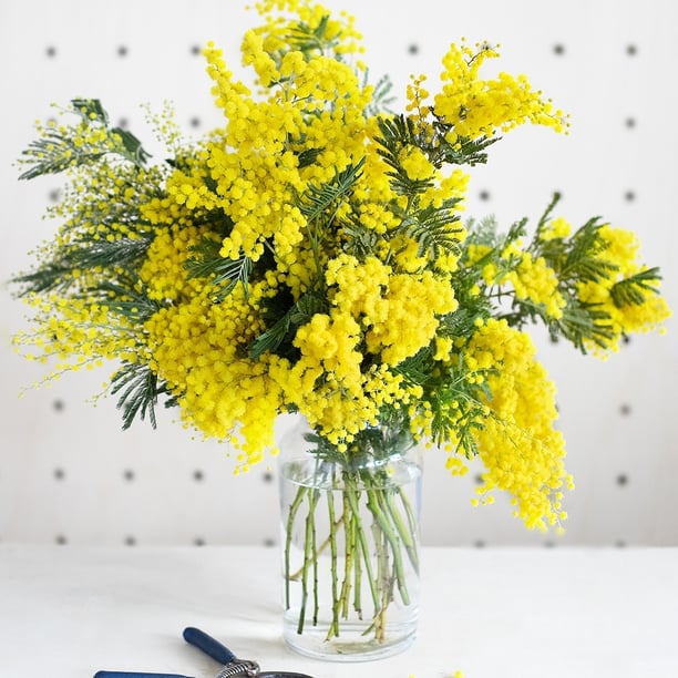 APRÈS MIDI  DANSANT  THÈME GROUPE  A ROSA BONHEUR SUR SEINE  LE PRINTEMPS EST LÀ