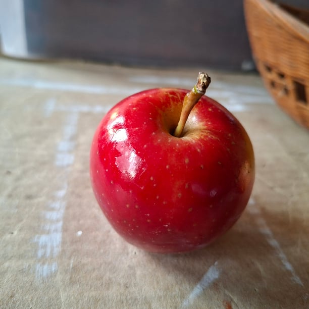 Repas au CRISTAL (Port-Royal)