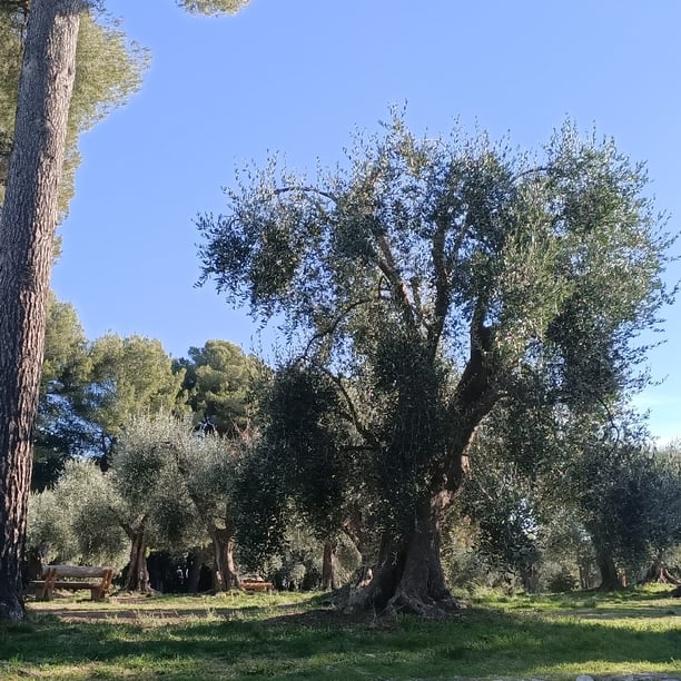 PARC D'ESTIENNE D'ORVES/Marcher par Monts et merveilles !