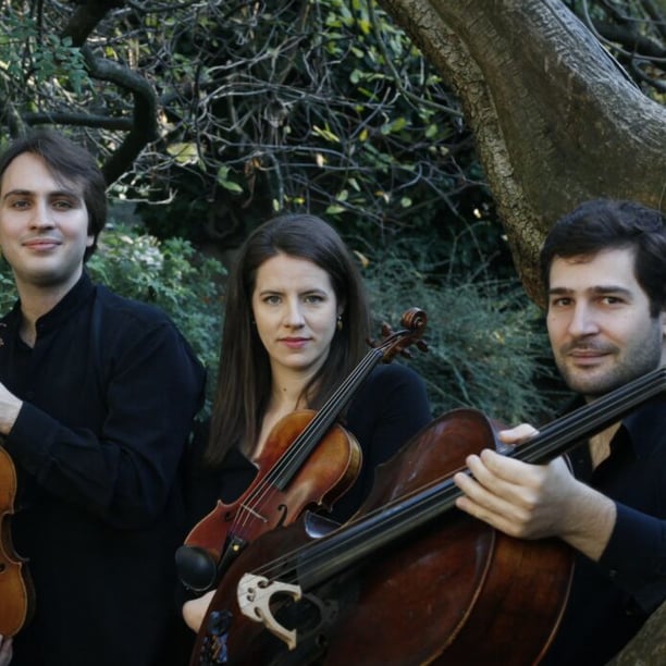 Concert violons et violoncelle