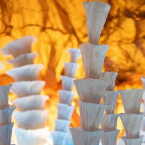 Exposition l'Odyssée de Léa de Junior Fritz Jacquet