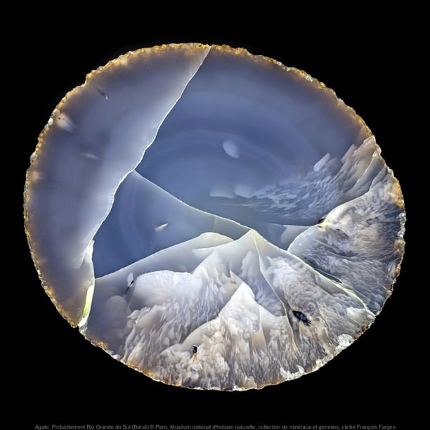 Rêveries de pierres : l'exposition rétrospective gratuite à l'Ecole des Arts Joailliers