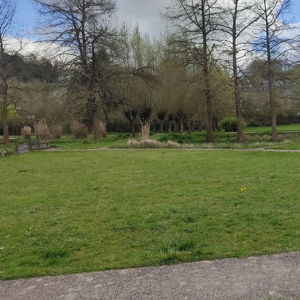 Marche nordique au lac daumesnil avec Véronique !