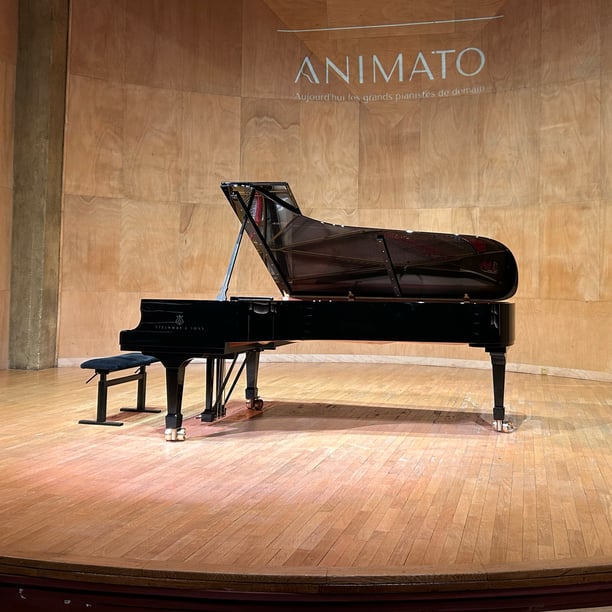 Écho des « Feux d’artifice »