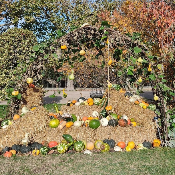 Marche nordique Jardin des plantes