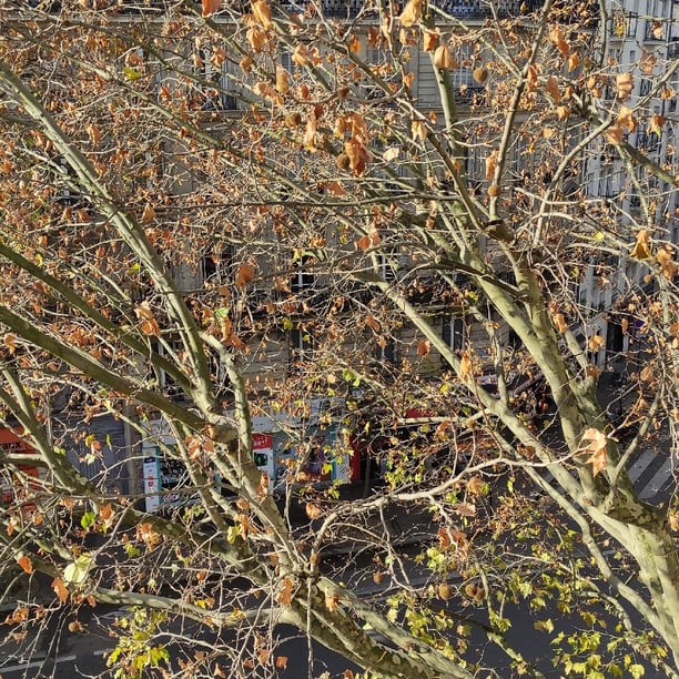 Balade des passages couverts