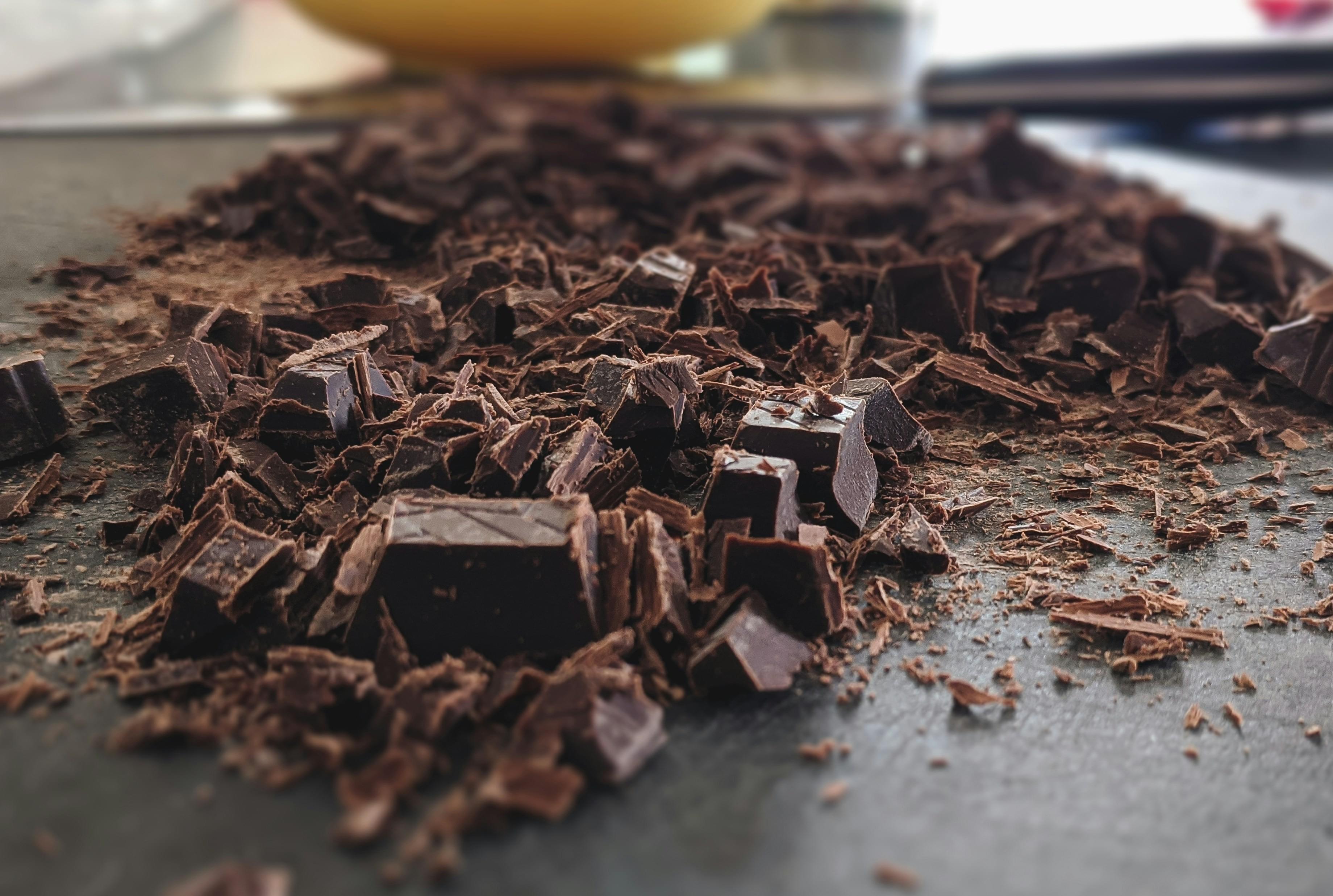 Dégustation de Chocolat : Initiation à la Culture du Cacao et à la Fabrication Artisanale