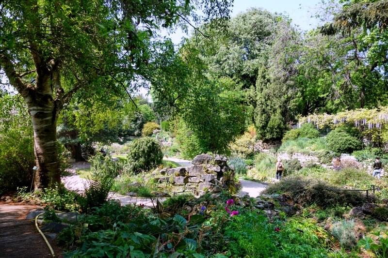 Promenade au Jardin Alpin - Paris 5ème